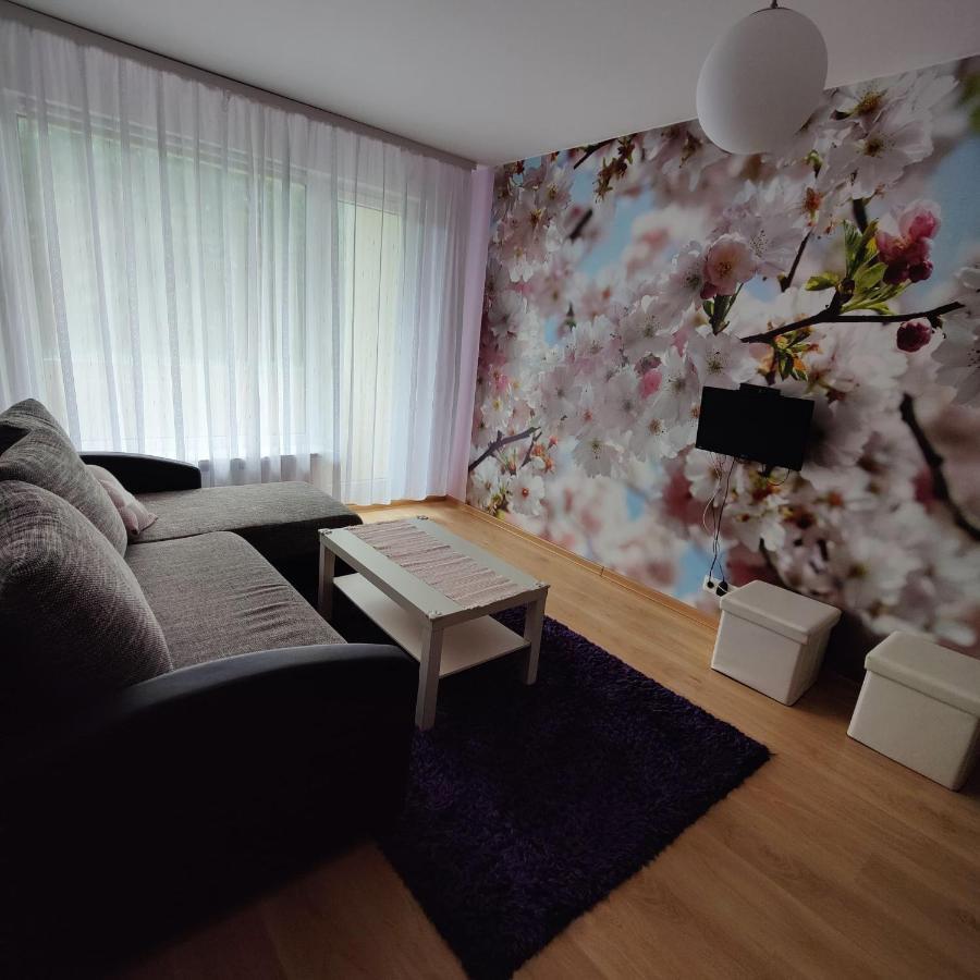 Dainai Apartament Šiauliai Buitenkant foto